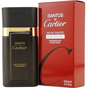 CARTIER SANTOS DE CARTIER CONCENTREE EDT / H 100 ML / 3.3 OZ