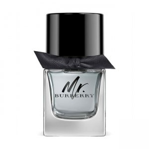 MR BURBERRY EDT / H 100 ML / 3.3 OZ