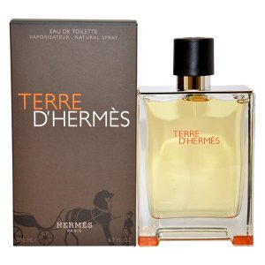 HERMES TERRE DHERMES EDT / H 100 ML / 3.4 OZ