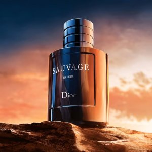Christian Dior Sauvage Elixir / Eau de Parfum / EDP -100ml/ 3.4 oz