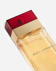 Dolce & Gabbana pour Femme / Eau de Toilette / EDT - 100 ml / 3.4 oz