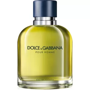 Dolce & Gabbana Pour Homme / Eau de Toilette / EDT - 75 ml / 2.5 oz