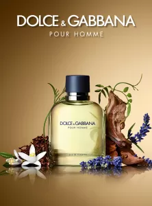 Dolce & Gabbana Pour Homme / Eau de Toilette / EDT - 125 ml / 4.2 oz