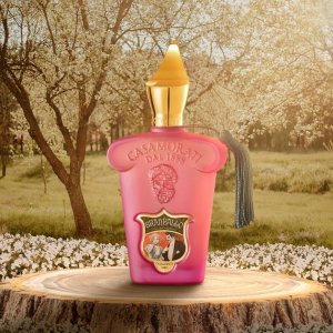 Xerjoff Casamorati Gran Ballo / Eau de Parfum / EDP - 100 ml / 3.4 oz