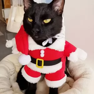 Disfraz Navideño para Gatos y Perros Pequeños - Ropa Festiva con Diseño de Santa Claus