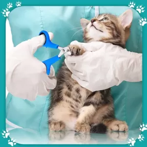 5-in-1 Cat Grooming Kit: Adjustable Bathing Bag, Nail Clippers, Flea Removal Tool, Massage Brush, and Durable Grooming Net