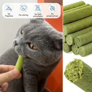 Natural Cat Grass Chew Sticks - Dental Care & Hairball Relief for Cats