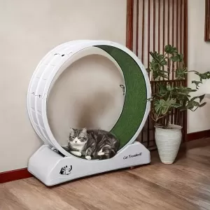 Cat Exercise Wheel – Indoor Cat Running Wheel with Carpeted Surface & Safety Lock
