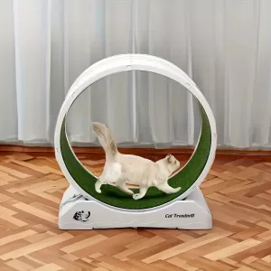 Cat Exercise Wheel – Indoor Cat Running Wheel with Carpeted Surface & Safety Lock