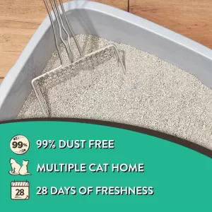 Fresh Scent Clumping Cat Litter – 2 Pack (20 lb) – Easy to Scoop, Odor Control, Low Dust