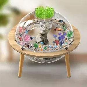 Innovative Cat House Aquarium – Interactive Fish Tank and Viewing Space for Cats
