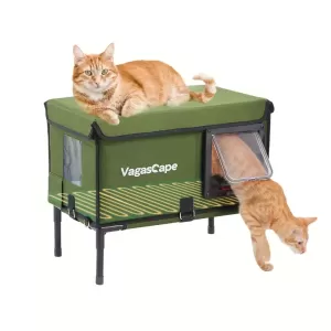 Cozy Heated Cat House – Waterproof and Insulated Outdoor Shelter with Dual Entry Doors, Green 21x18x13 Inches