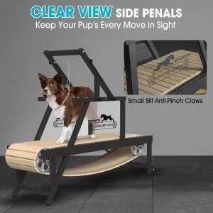Cinta para Ejercicio de mascotas.